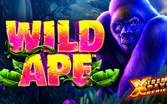 Video Slot Wild Ape