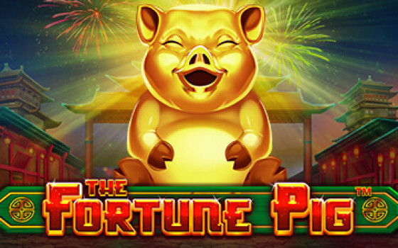Video Slot Fortune Pig