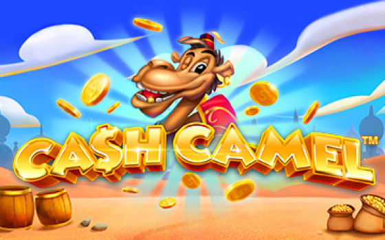 Video Slot Cash Camel