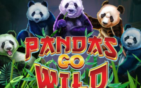 Video Slot Pandas Go Wild
