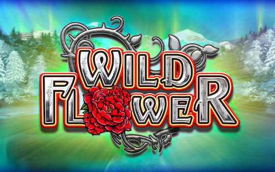 Video Slot Wild Flower