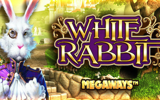 Video Slot White Rabbit