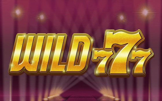 Video Slot Wild 777