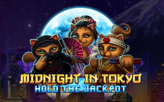 Video Slot Midnight in Tokyo