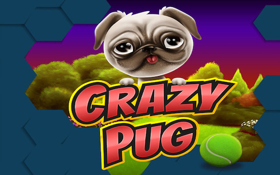 Video Slot Crazy Pug