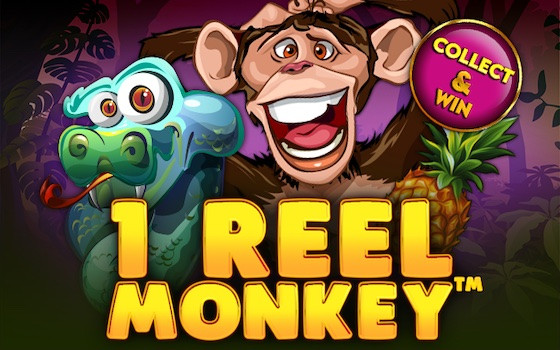 Video Slot 1 Reel Monkey
